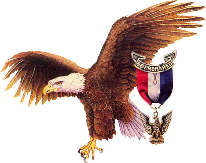 Eagle Scout - To Succeed you need the 3 D's