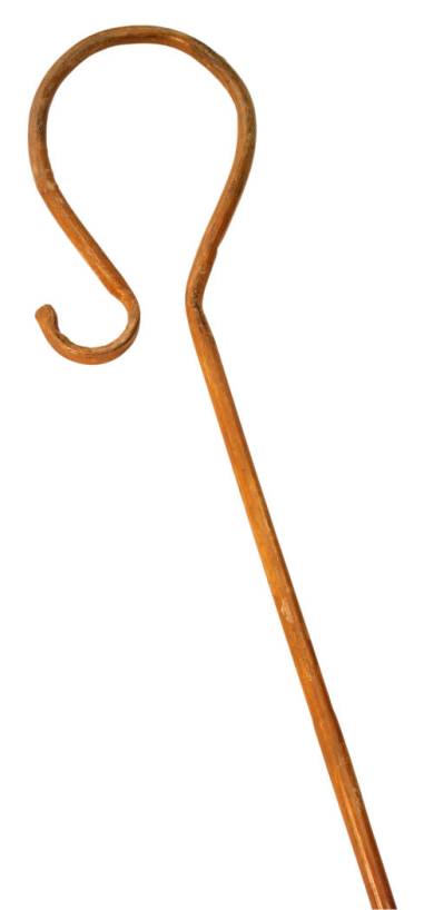 shepherd's rod