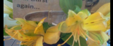 Serendipity Tracting