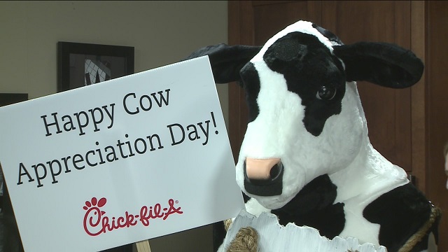 Cow Appreciation Day
