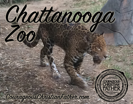Chattanooga Zoo
