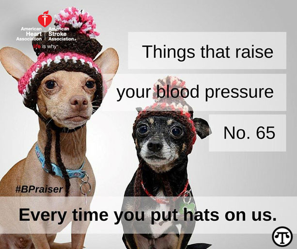 Things that raise your blood pressure. No. 65 Every time you put hats on us.
