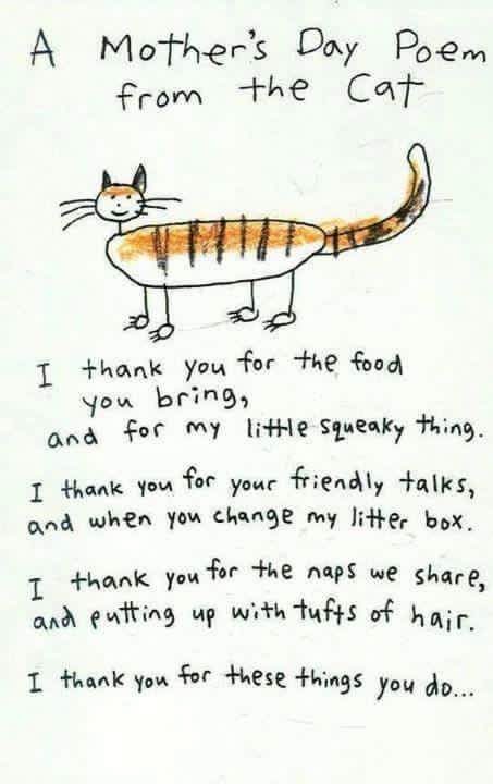 A Mother's Day Poem from the Cat #MothersDay