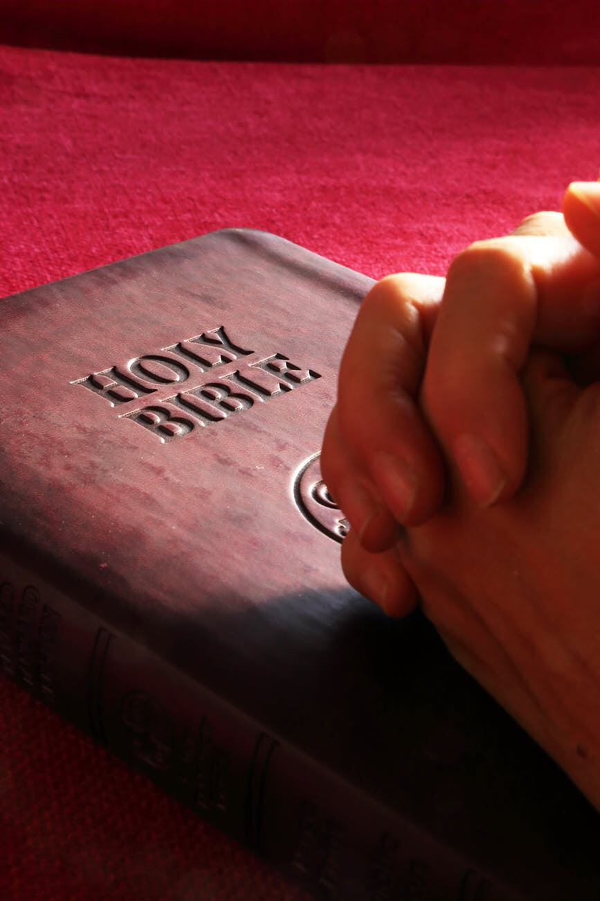America's Appetite for the Bible Grows