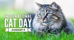 internationalcatday-7485742