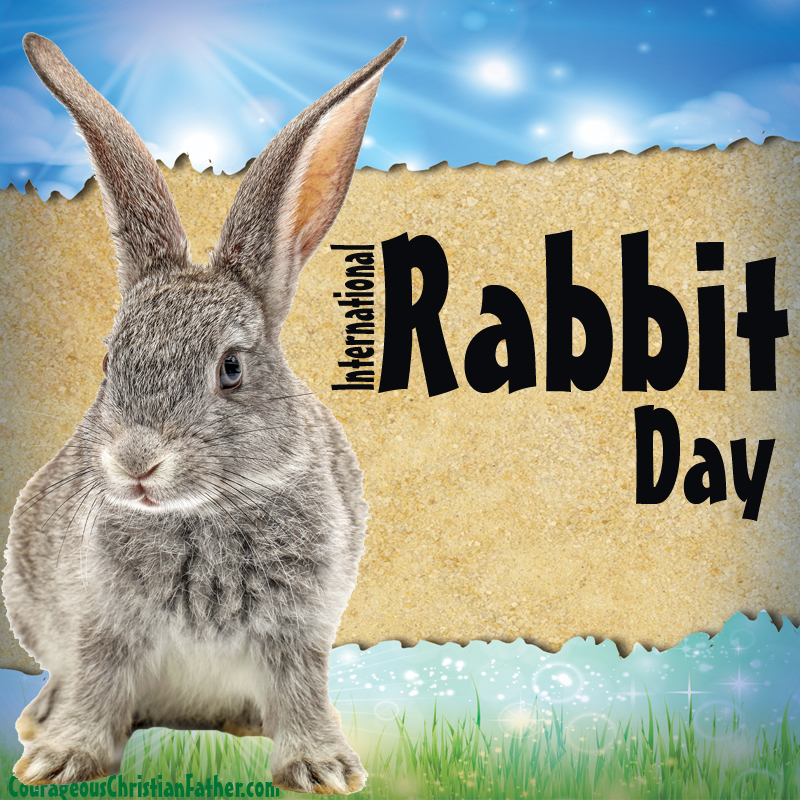 International Rabbit Day - A holiday day for the rabbit. This day is made to help bring protection to rabbits domestic and wild. #InternationalRabbitDay #RabbitDay