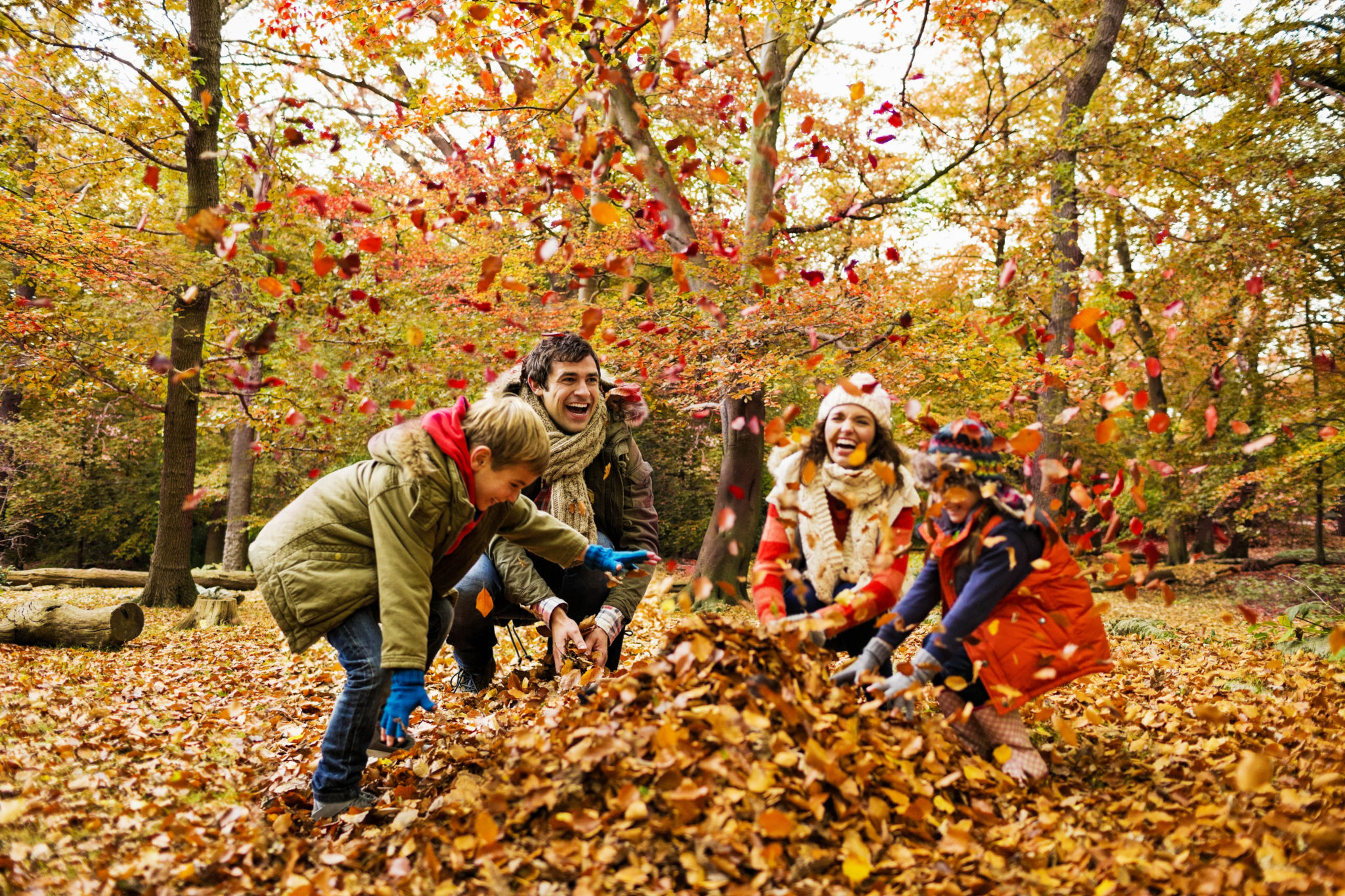 10+ Uses for Fallen Leaves - Cleaning up leaves is considerable work, but not all of those leaves need to be carted away. In fact, there are several different uses of leaves that can be beneficial.