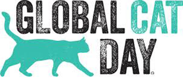 global-cat-day-8806205