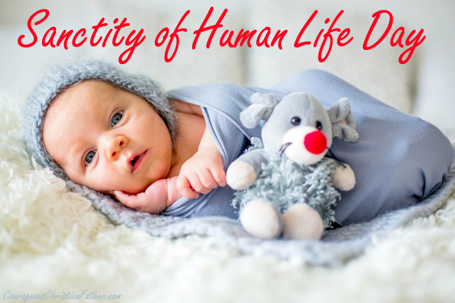 National Sanctity of Human Life Day is an observance declared by several United States Presidents who opposed abortion typically proclaimed on or near the anniversary of the Supreme Court's decision in Roe v. Wade. This day is also known as Pro-Life Day.