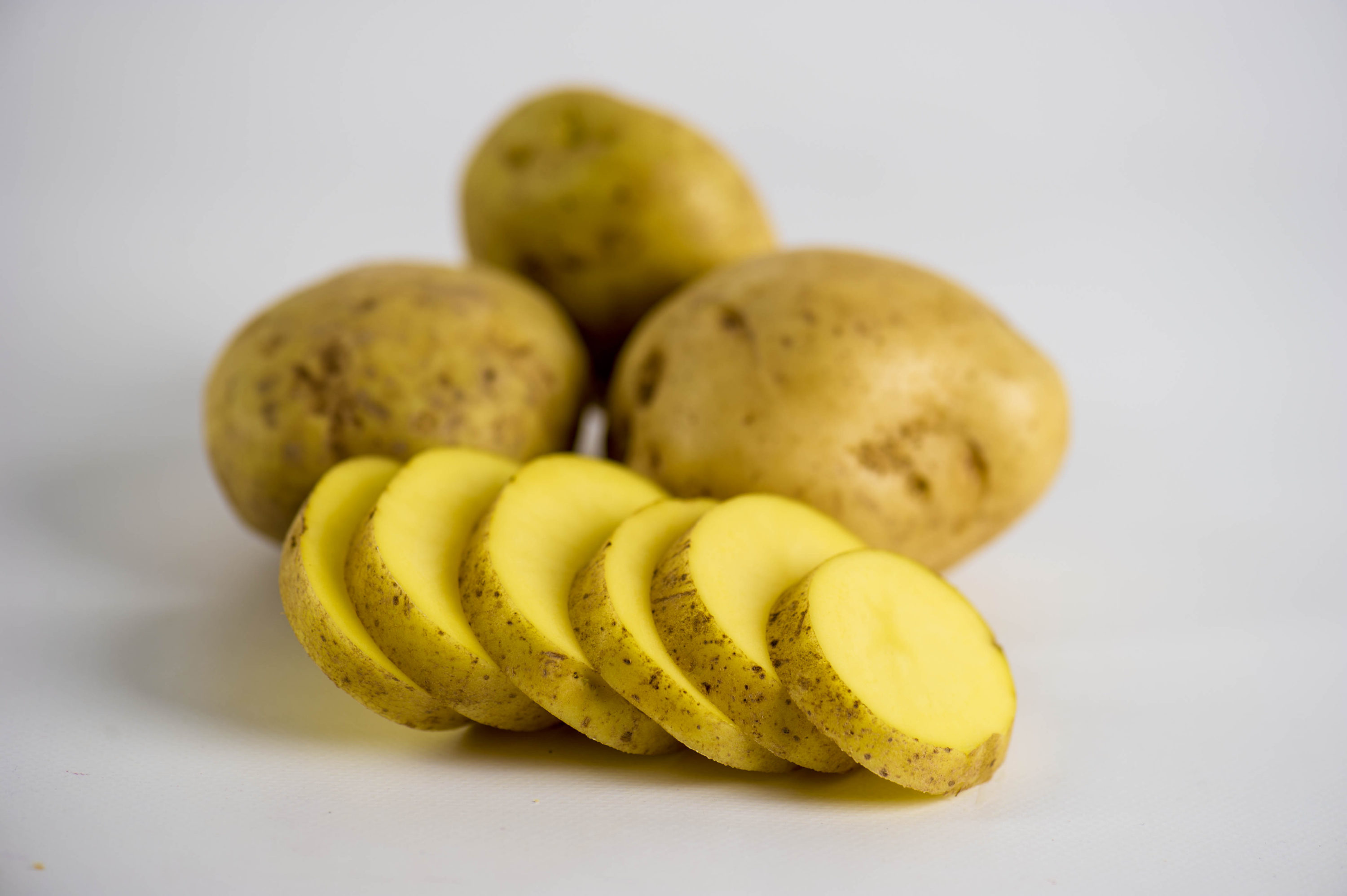 Potatoes are one the world's most popular foods. Agriculturists in 17th century Europe found potatoes were easier to grow and sustain than many other crops and, when coupled with their nutritional value, potatoes gained popularity, particularly among the working class in Ireland.