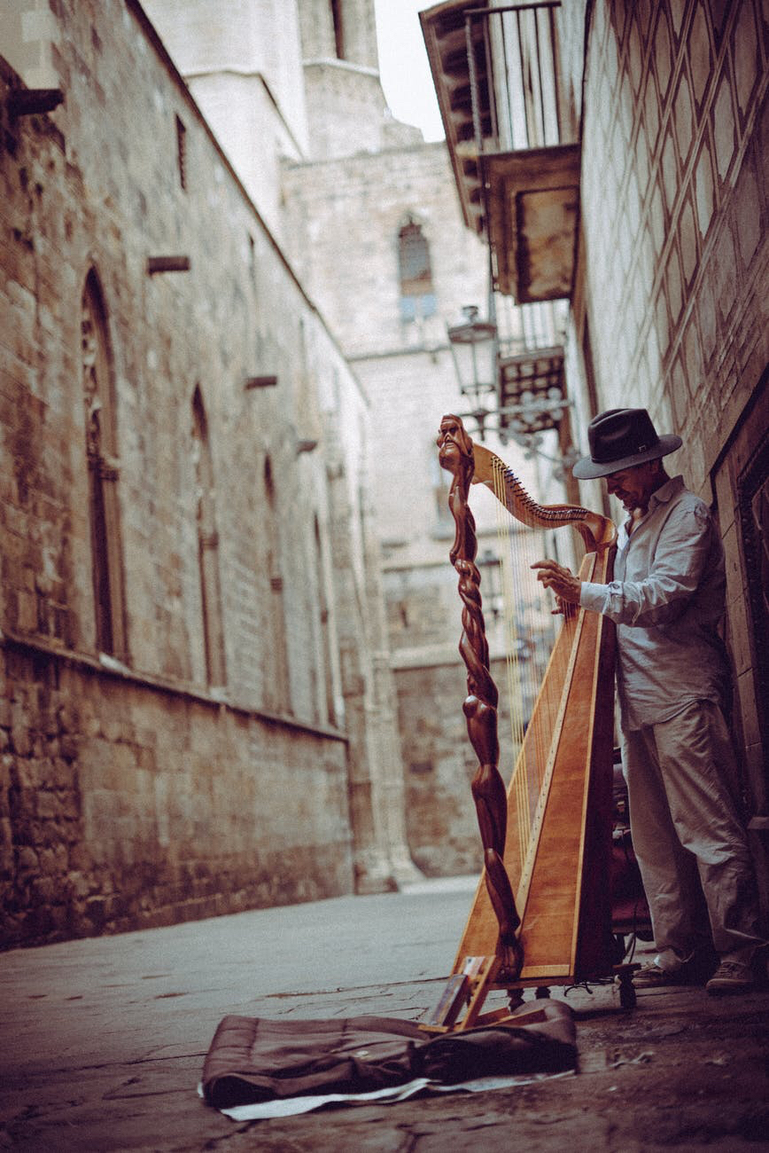 The Harp - Over the years, shamrocks and the famed Tricolour have become symbols of the Emerald Isle. But when celebrating Irish history or planning St. Patrick's Day festivities, celebrants should not overlook the important role the harp has played in Ireland for centuries.| Pexels Photo 1812689