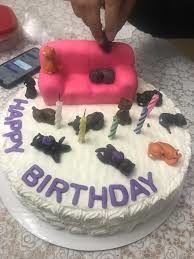 crazycatladycake04-8542461