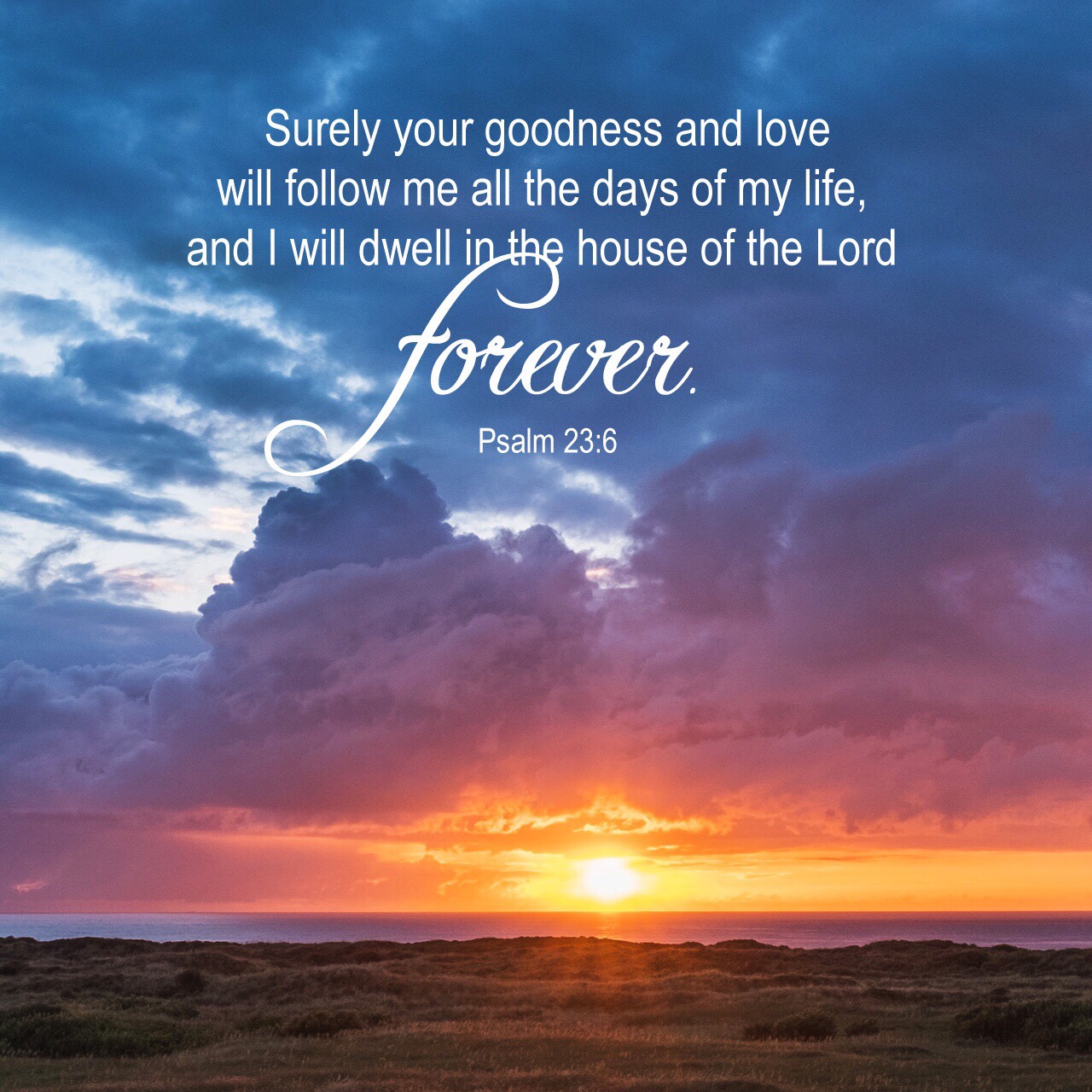 VOTD June 24, 2019 “Surely goodness and lovingkindness will follow me all the days of my life, And I will dwell in the house of the LORD forever.” ‭‭PSALM 23:6‬ ‭NASB‬‬