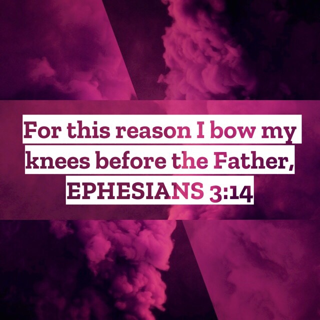 VOTD July 7, 2019 - For this reason I bow my knees before the Father, EPHESIANS 3:14 NASB
