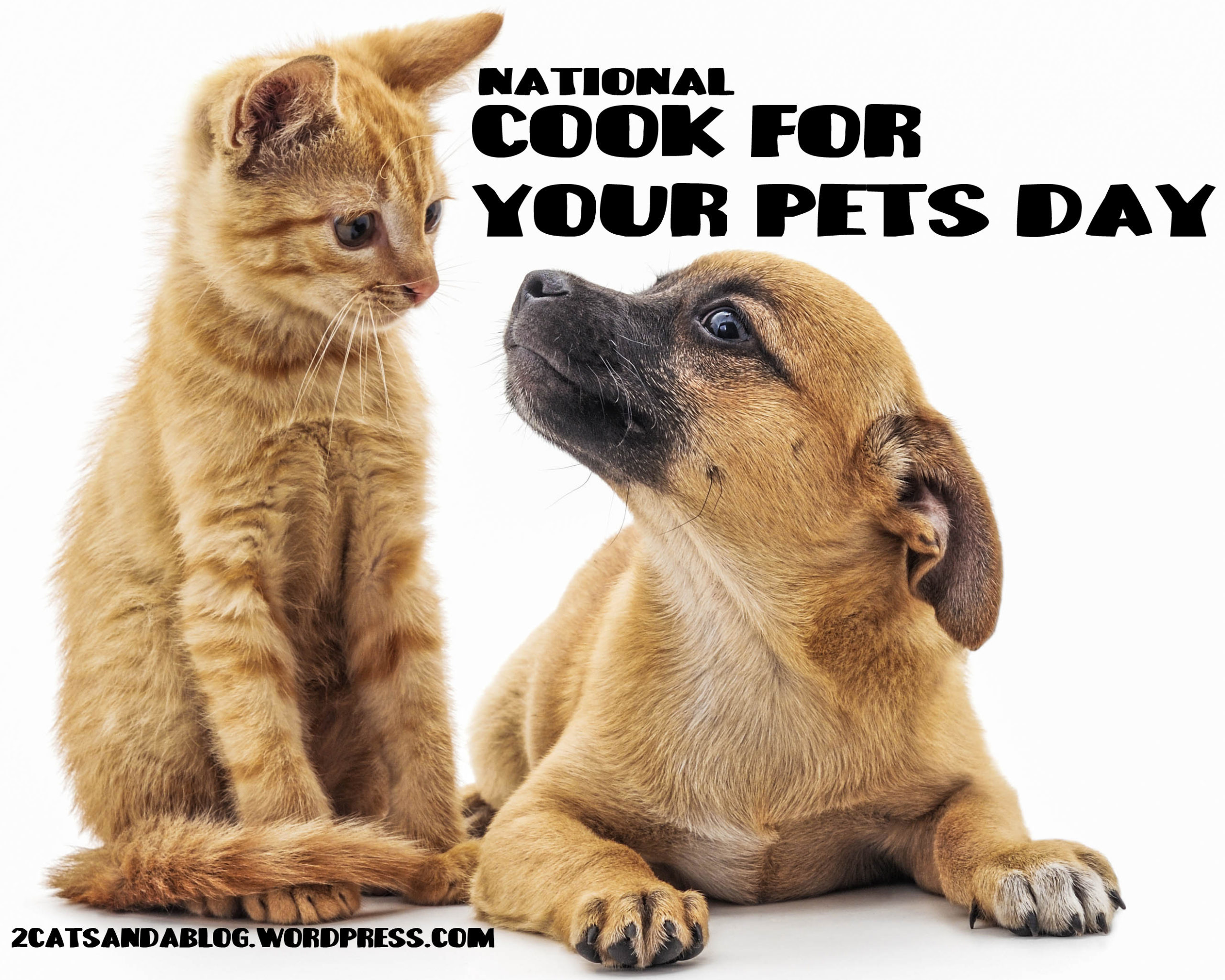 National-Cook-For-Your-Pets-Day