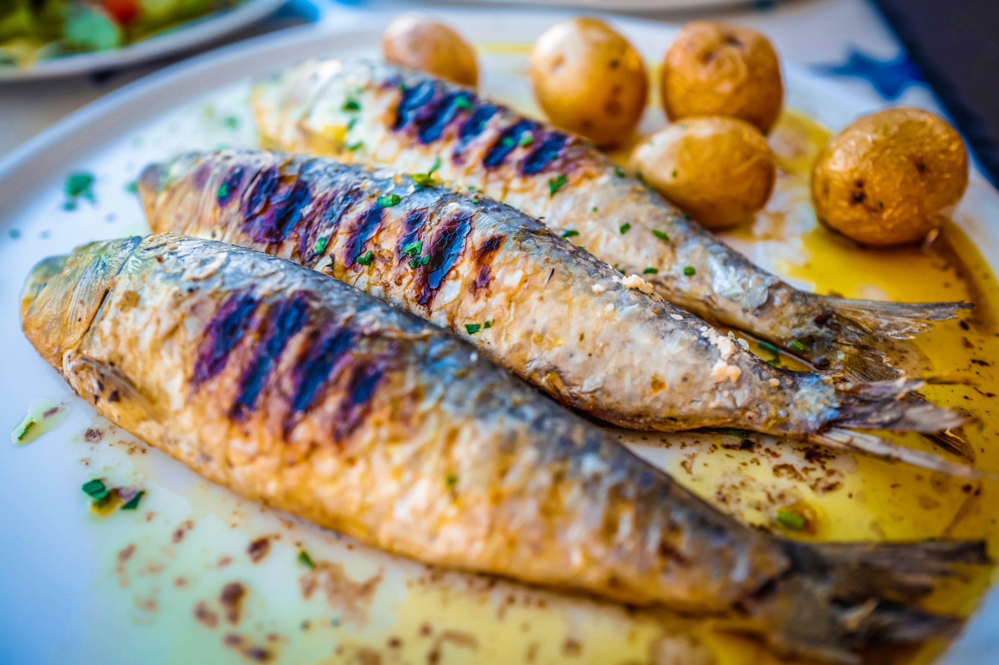 Feast of the 7 Fishes - An Italian-American celebration of Christmas Eve, usually with several dishes of fish or other seafood.