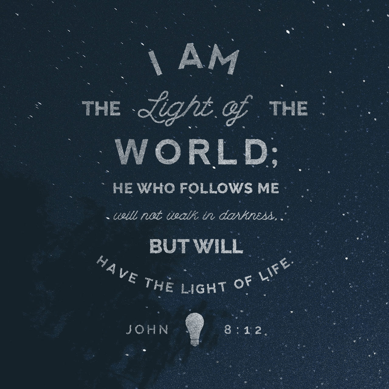 VOTD January 25 - “Then Jesus again spoke to them, saying, “I am the Light of the world; he who follows Me will not walk in the darkness, but will have the Light of life.”” John 8:12 NASB