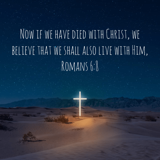 VOTD March 12 - “Now if we have died with Christ, we believe that we shall also live with Him,” ‭‭Romans‬ ‭6:8‬ ‭NASB‬‬