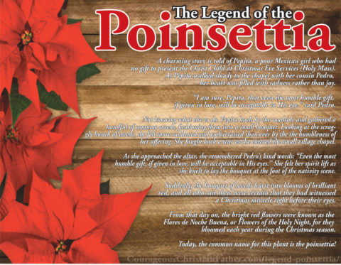 The Legend of the Poinsettia Printable