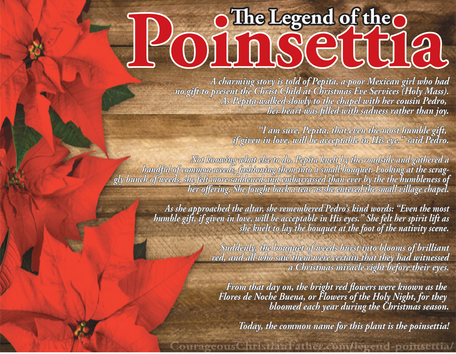 Legend of the Poinsettia Courageous Christian Father