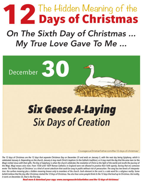 6th Day of Christmas Hidden Meaning Printable